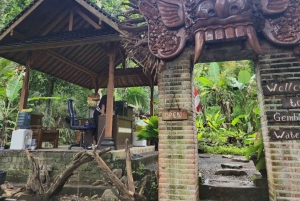 Bali: Sidemen Valley Private Tour with Rafting & Temple