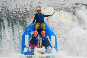 Bali: Sidemen Valley Private Tour with Rafting & Temple