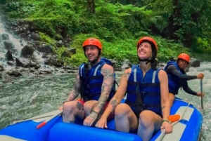 Bali: Sidemen Valley Private Tour with Rafting & Temple