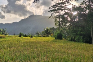 Bali: Sidemen Valley Scooter Tour with Local Guide