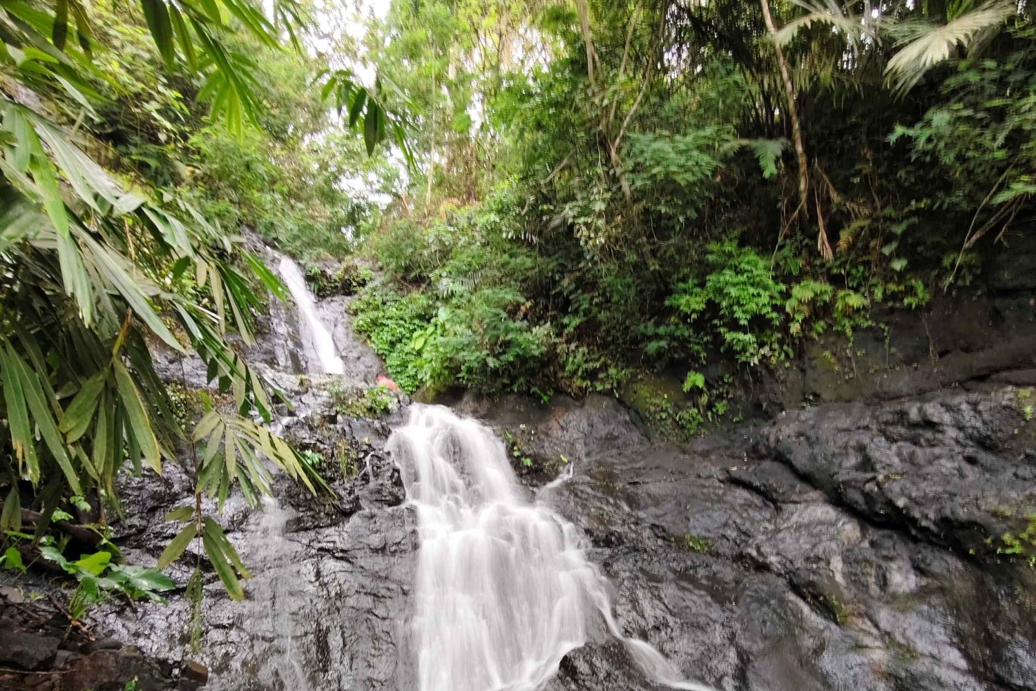 Bali: Sidemen-vandfaldstur og tempelrenselse
