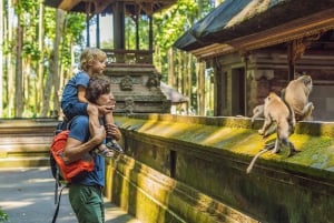 バリ島クタでのシルバークラスとオプショナルツアー