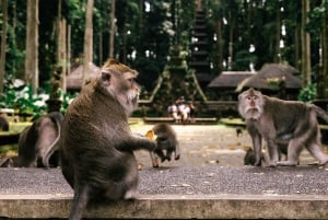 バリ島クタでのシルバークラスとオプショナルツアー