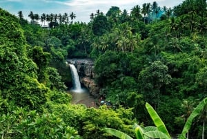 Bali: Silver Class in Kuta valinnaisella kiertoajelulla ja aktiviteeteilla.