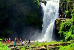 Bali: Silver Class in Kuta valinnaisella kiertoajelulla ja aktiviteeteilla.