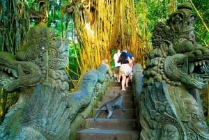 Bali: Silver Class in Kuta valinnaisella kiertoajelulla ja aktiviteeteilla.