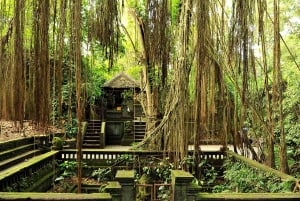 Bali: Silver Class in Kuta valinnaisella kiertoajelulla ja aktiviteeteilla.