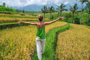 Ubud Zilver Klas: Smeed je persoonlijke zilveren aandenken