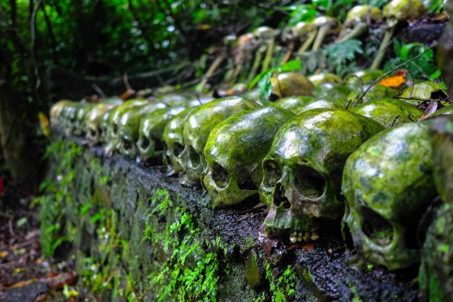 Bali : Île du Crâne avec village rituel mystique et chute d'eau