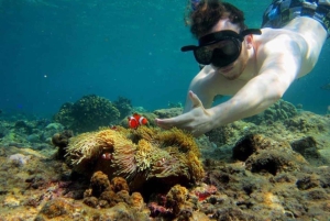Bali: Snorkel en Blue Lagoon 2 Spot con almuerzo y transporte