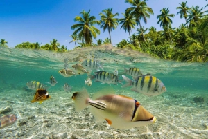 Bali: Snorkel en Blue Lagoon 2 Spot con almuerzo y transporte