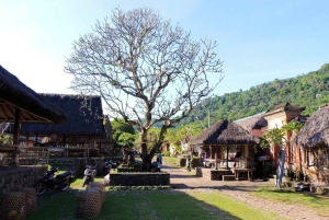 Bali: Snorkel en Blue Lagoon 2 Spot con almuerzo y transporte