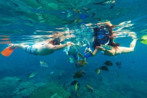 Bali: Snorkling i den blå lagunen Snorkling i den blå lagunen med lunsj og transport