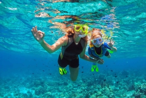Bali: Snorkling i den blå lagunen Snorkling i den blå lagunen med lunsj og transport