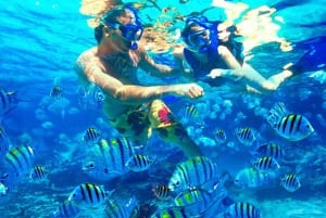 Bali: Snorkeling at Blue Lagoon and Tanjung Jepun with Lunch