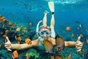 Bali:Snorkeling alla Laguna Blu con pranzo e trasferimento