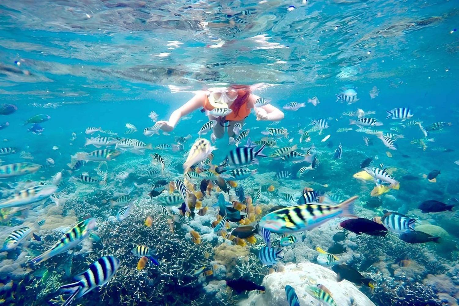 Bali Snorkeling at Blue Lagoon with Lunch