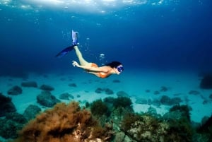 Bali Snorkeling at Blue Lagoon with Lunch