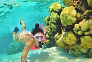 Bali Snorkeling at Blue Lagoon with Lunch