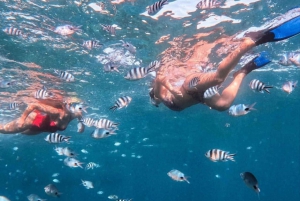 Bali Snorkeling at Blue Lagoon with option