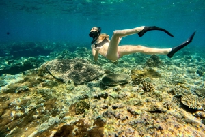 Bali: Schnorcheln in der Blauen Lagune 2 mit Mittagessen und Transport