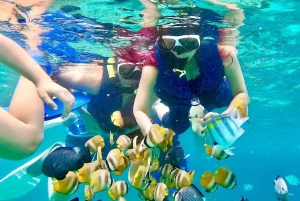 Bali: nurkowanie z rurką w Blue Lagoon, wodospad i plantacja