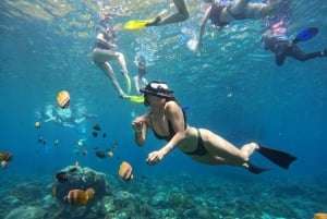 Bali: nurkowanie z rurką w Blue Lagoon, wodospad i plantacja