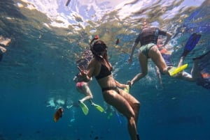 Bali: nurkowanie z rurką w Blue Lagoon, wodospad i plantacja