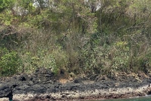 Bali: nurkowanie z rurką w Blue Lagoon, wodospad i plantacja