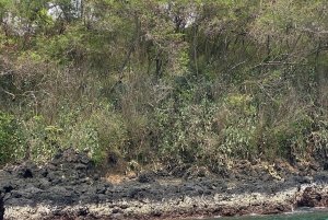 Bali: nurkowanie z rurką w Blue Lagoon, wodospad i plantacja