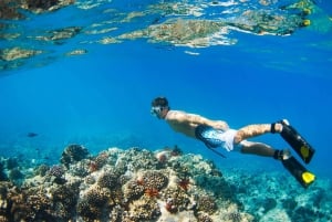 Bali: Snorkeling on 2 spots with Lunch and Transport
