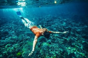 Bali: Snorkeling w 2 miejscach z lunchem i transportem