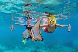 Bali: Snorkling på 2 steder med lunsj og transport