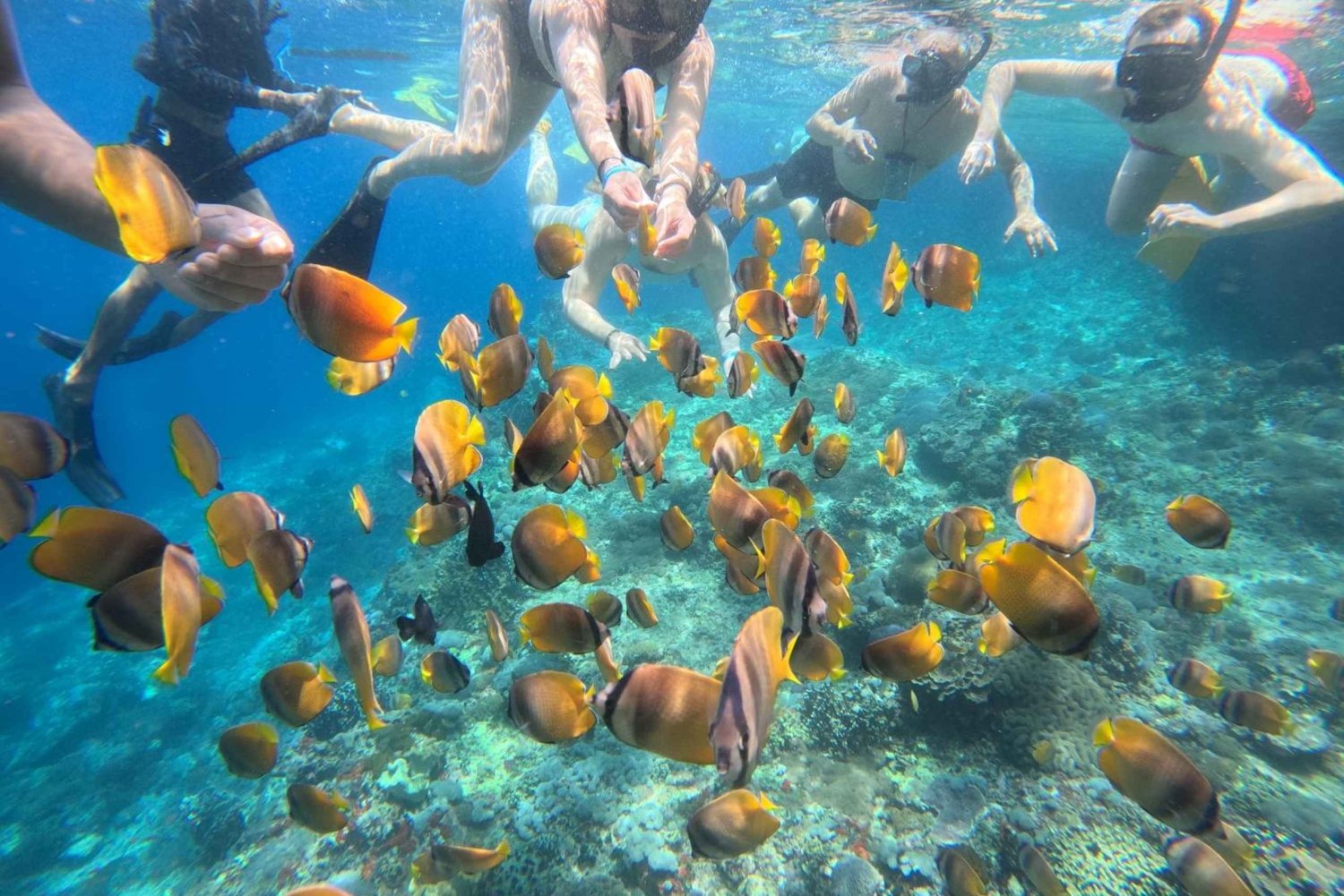 Bali: Snorkeling Trip to Blue Lagoon with Private Pickup Car