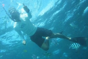 Bali: Mergulho com snorkel, Ilha das Tartarugas e Uluwatu Kecak com almoço
