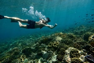 Seminyak: Surfingundervisning for begyndere på alle niveauer – 2 timers oplevelse