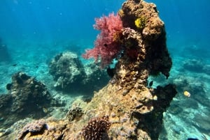 Seminyak: Surfingundervisning for begyndere på alle niveauer – 2 timers oplevelse