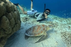 Seminyak: Surfingundervisning for begyndere på alle niveauer – 2 timers oplevelse