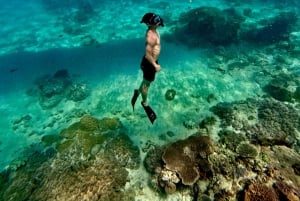 Seminyak: Surfingundervisning for begyndere på alle niveauer – 2 timers oplevelse