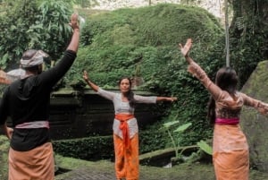 Bali: Tour de limpeza espiritual e meditação de cura em Ubud