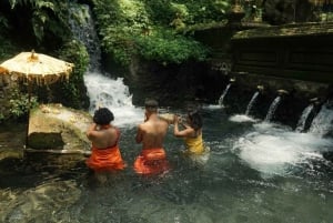 Bali: Tour de limpeza espiritual e meditação de cura em Ubud