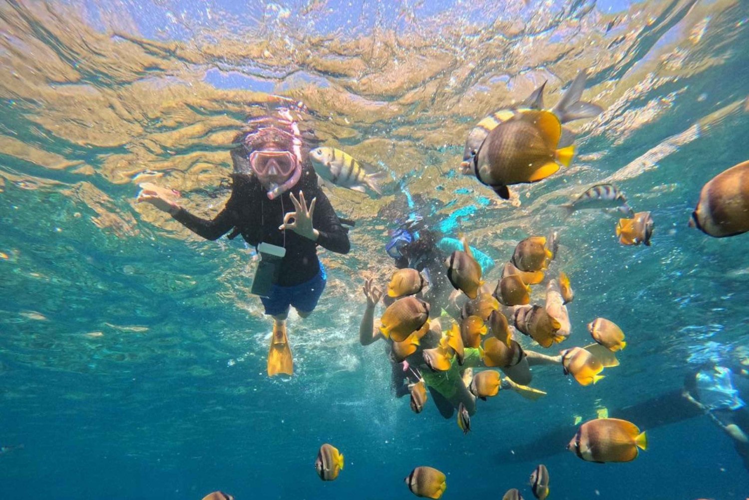 バリ：ヌサ・ペニダ フルデイツアー（スノーケリング付き）