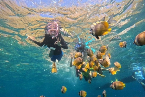 バリ：ヌサ・ペニダ フルデイツアー（スノーケリング付き）