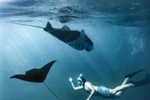 バリ：ヌサ・ペニダ フルデイツアー（スノーケリング付き）