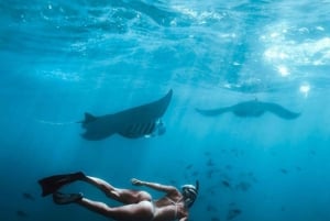 バリ：ヌサ・ペニダ フルデイツアー（スノーケリング付き）