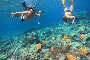 バリ：ヌサ・ペニダ フルデイツアー（スノーケリング付き）