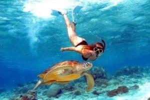 バリ：ヌサ・ペニダ フルデイツアー（スノーケリング付き）