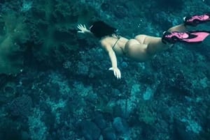 バリ：ヌサ・ペニダ フルデイツアー（スノーケリング付き）