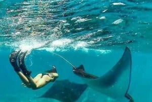 バリ：ヌサ・ペニダ フルデイツアー（スノーケリング付き）