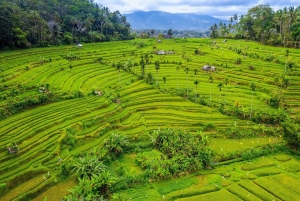 Bali: Spirit of Tabanan Motorcycle Tour
